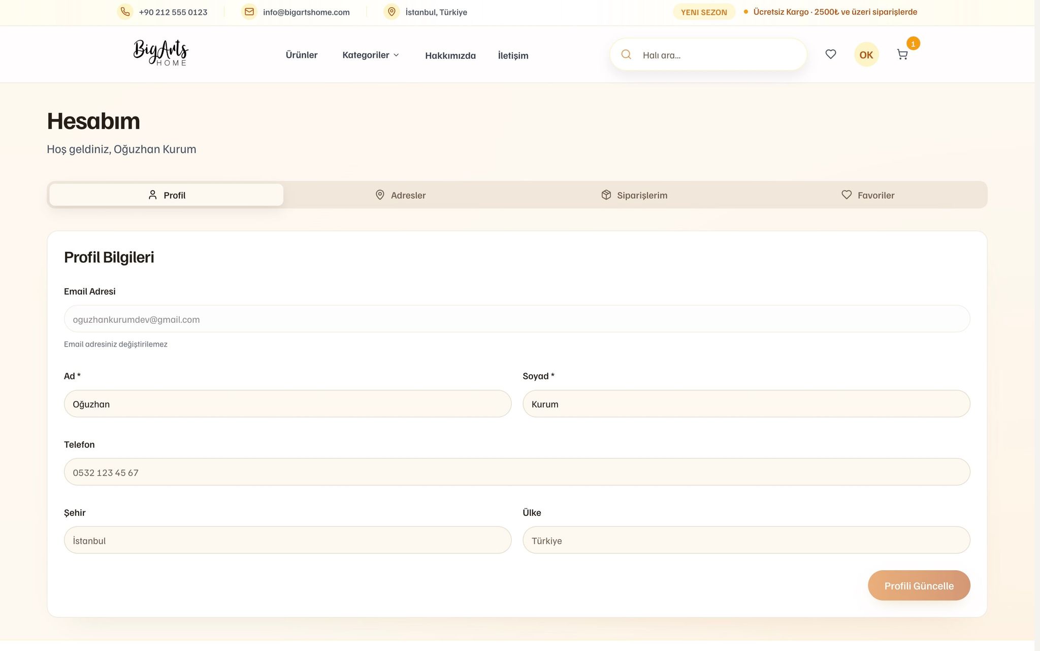 BigArts Home projesi görsel 8 - Full Stack detay